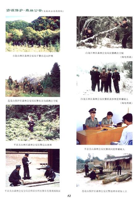 《《甘肃省志·林业志》下册(1986-2005)》.pdf电子版_甘肃省志插图5