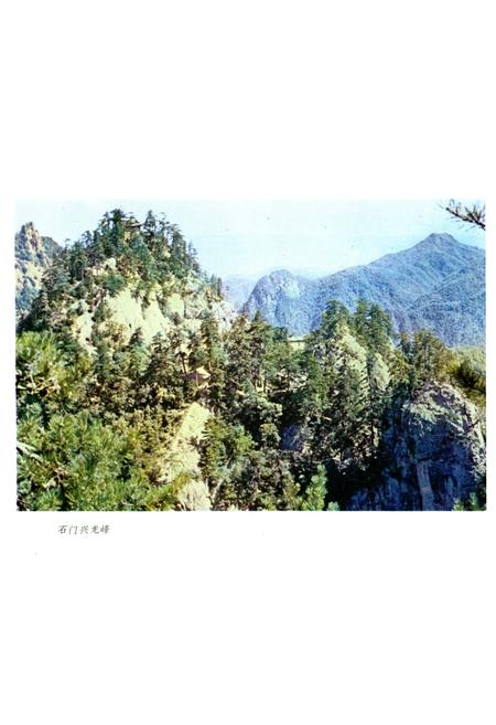 《天水县文物志》.pdf电子版_甘肃省志插图2 《天水县文物志》.pdf电子版_甘肃省志插图2