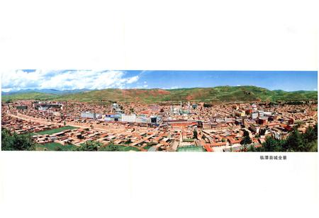 《《临潭县志》(1991-2006)》.pdf电子版_甘肃省志插图5