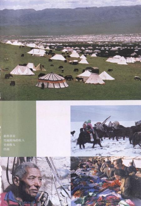 《甘肃·甘南风物志》.pdf电子版_甘肃省志插图2