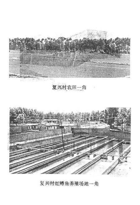 《复兴村志》.pdf电子版_甘肃省志插图3