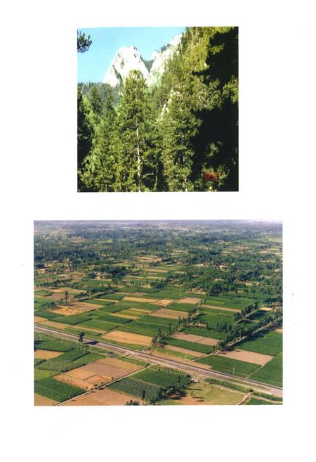 《《甘肃省叶甲科昆虫志》》.pdf电子版_甘肃省志插图4