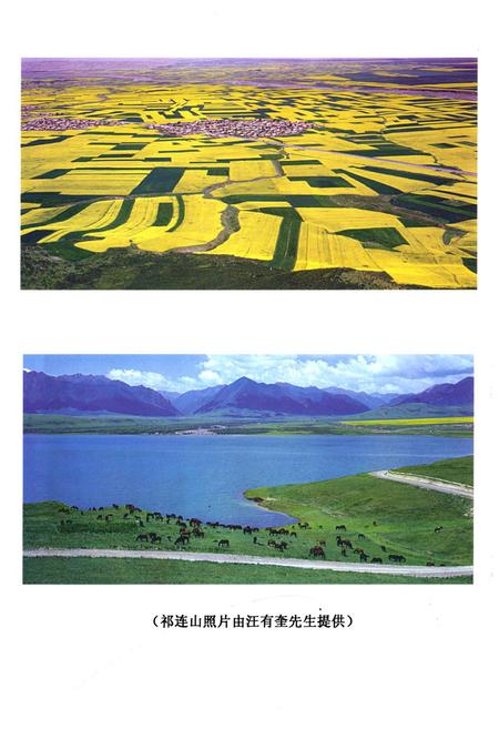 《《甘肃省叶甲科昆虫志》》.pdf电子版_甘肃省志插图5