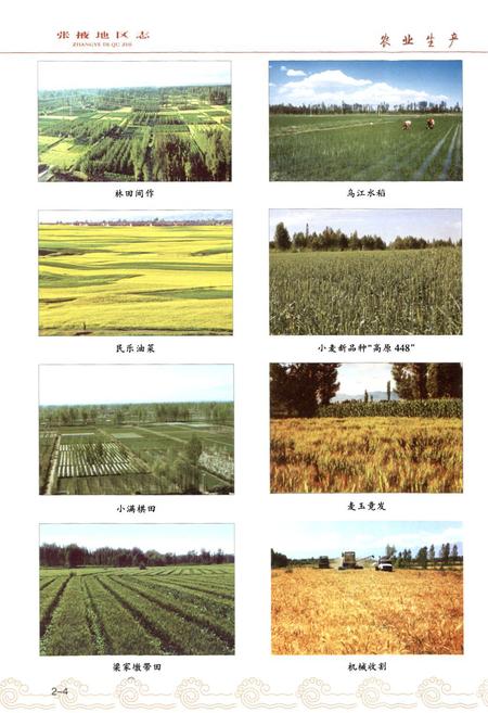 《张掖地区志(远古-1995)中卷》.pdf电子版_甘肃省志插图5