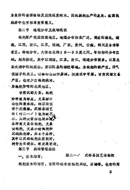 《甘肃省几种亚热带果树志(枇杷 无花果 油橄榄)》.pdf电子版_甘肃省志插图5 《甘肃省几种亚热带果树志(枇杷 无花果 油橄榄)》.pdf电子版_甘肃省志插图5