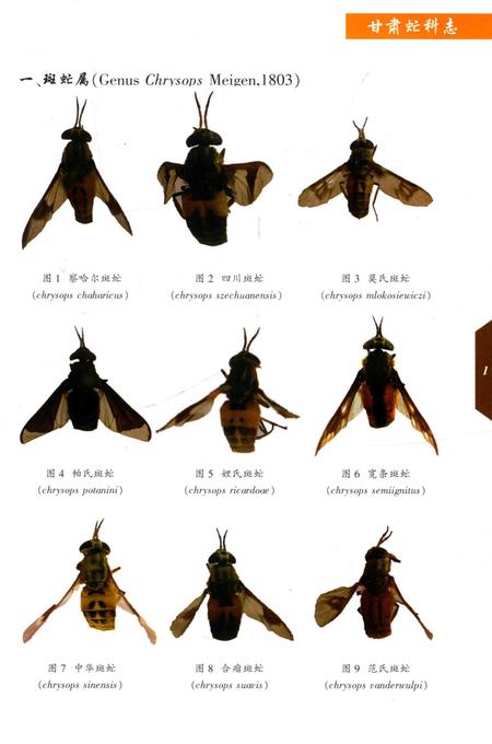 《甘肃虻科志》.pdf电子版_甘肃省志插图4