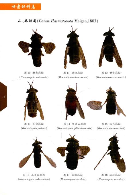 《甘肃虻科志》.pdf电子版_甘肃省志插图5