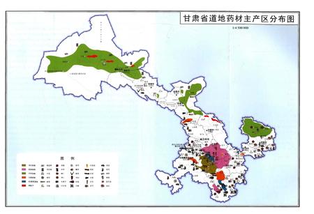 《甘肃道地药材志》.pdf电子版_甘肃省志插图3
