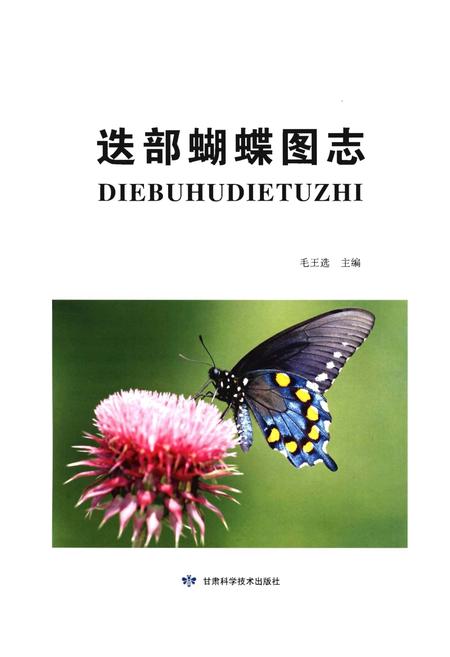 《迭部蝴蝶图志》.pdf电子版_甘肃省志插图1