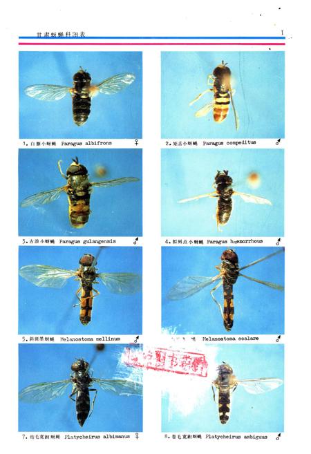 《甘肃蚜蝇科图志》.pdf电子版_甘肃省志插图3