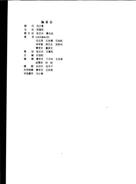 《炳灵寺石窟艺术》.pdf电子版_甘肃省志插图3