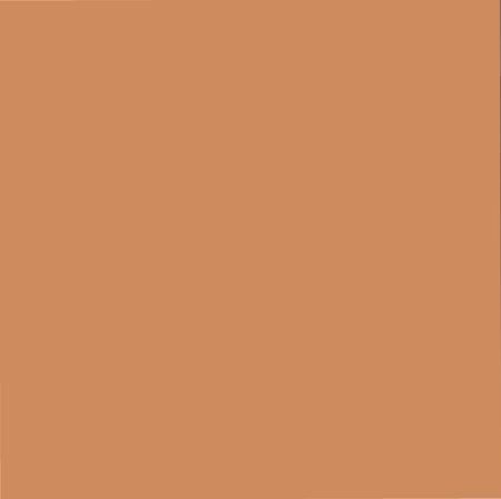 《金色张掖》.pdf电子版_甘肃省志插图1