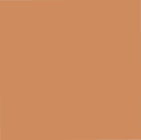 《金色张掖》.pdf电子版_甘肃省志插图3