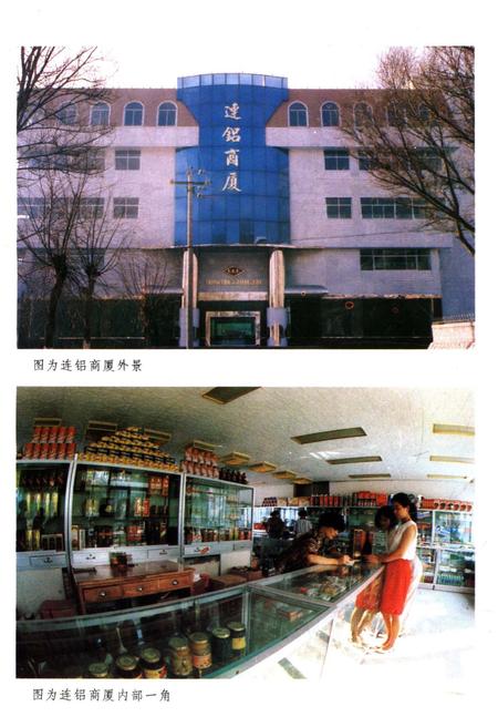 《连城铝厂厂史》.pdf电子版_甘肃省志预览图5 《连城铝厂厂史》.pdf电子版_甘肃省志预览图5