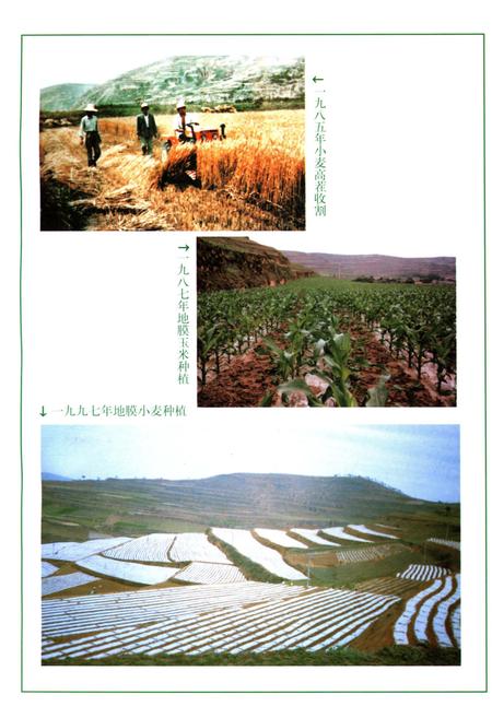 《秦安县农牧志》.pdf电子版_甘肃省志插图5 《秦安县农牧志》.pdf电子版_甘肃省志插图5