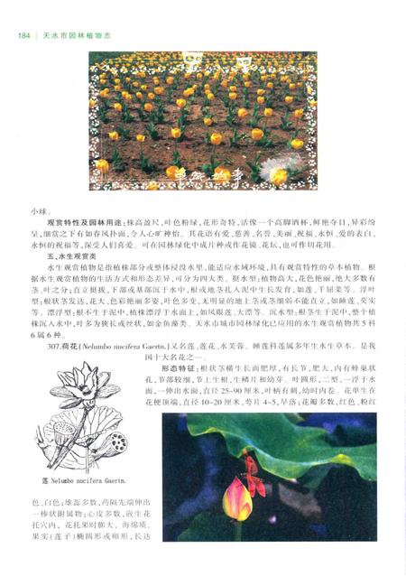 《天水市园林植物志》.pdf电子版_甘肃省志插图5