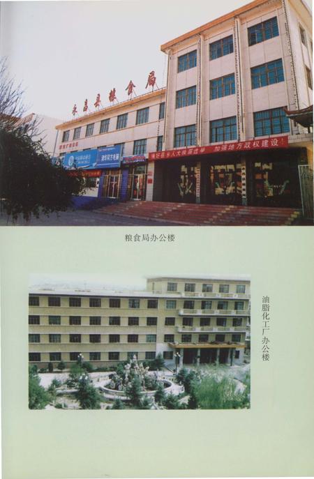 《永昌县粮食志》.pdf电子版_甘肃省志插图2