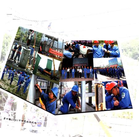 《国家电网兰州供电公司 汶川特大地震抗震救灾志》.pdf电子版_甘肃省志插图3