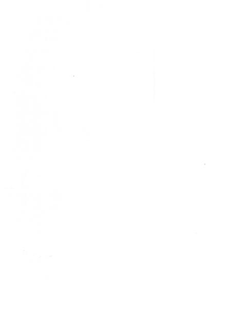 《箭杆岭凤龙山李白纪念宫志》.pdf电子版_甘肃省志插图1