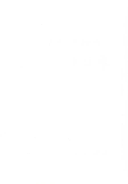 《箭杆岭凤龙山李白纪念宫志》.pdf电子版_甘肃省志插图3