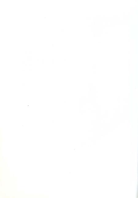 《箭杆岭凤龙山李白纪念宫志》.pdf电子版_甘肃省志插图5