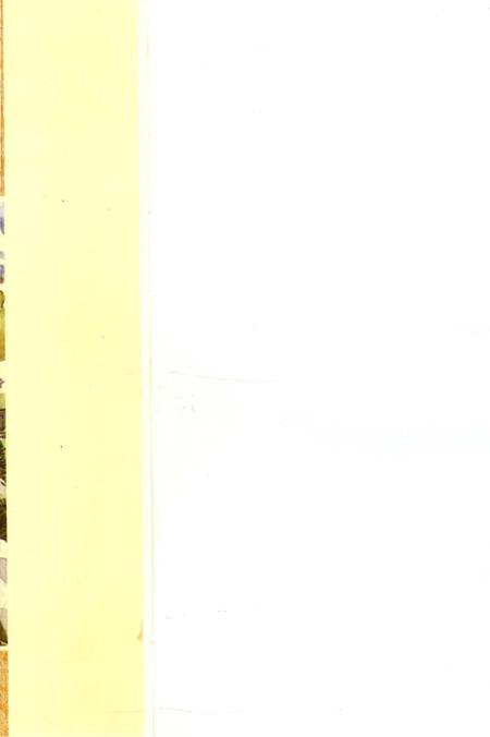 《张掖文物古迹荟萃》.pdf电子版_甘肃省志插图1 《张掖文物古迹荟萃》.pdf电子版_甘肃省志插图1