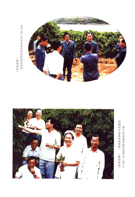 《楼村志》.pdf电子版_广东省志插图5