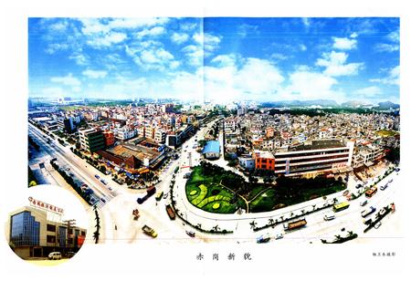 《赤岗村志》.pdf电子版_广东省志插图4