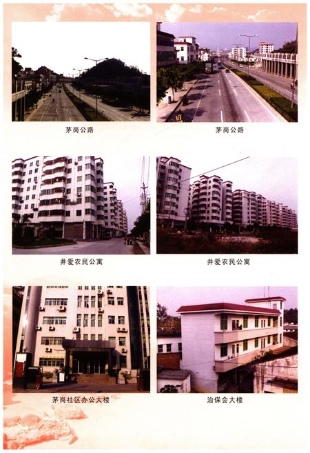 《茅岗村志》.pdf电子版_广东省志插图5