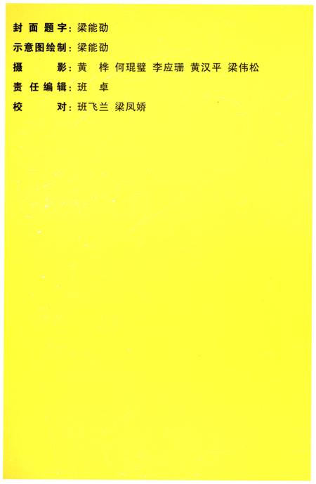 《平羌村志》.pdf电子版_广西壮族自治区志插图2