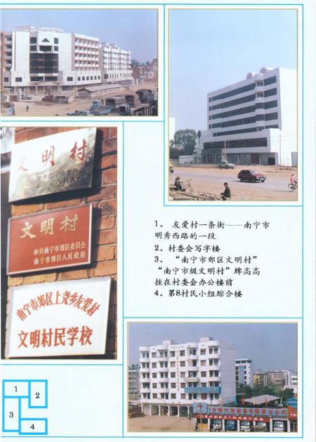《友爱村志》.pdf电子版_广西壮族自治区志插图3