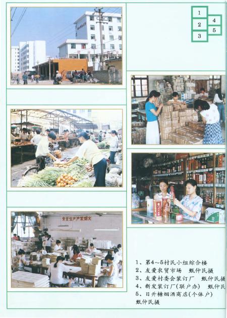《友爱村志》.pdf电子版_广西壮族自治区志插图4