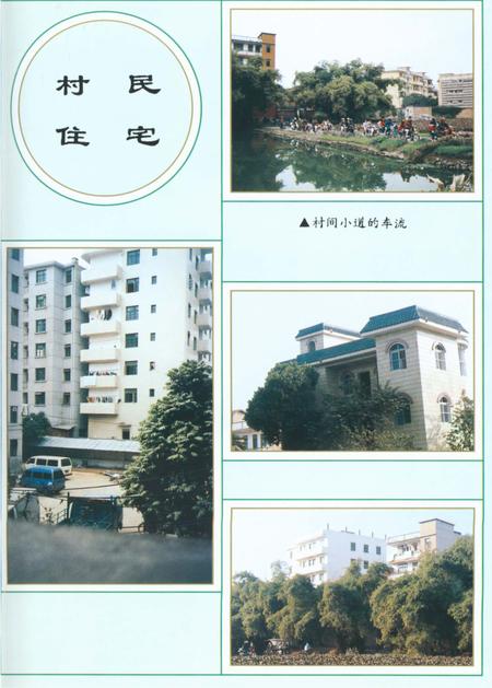 《友爱村志》.pdf电子版_广西壮族自治区志插图5