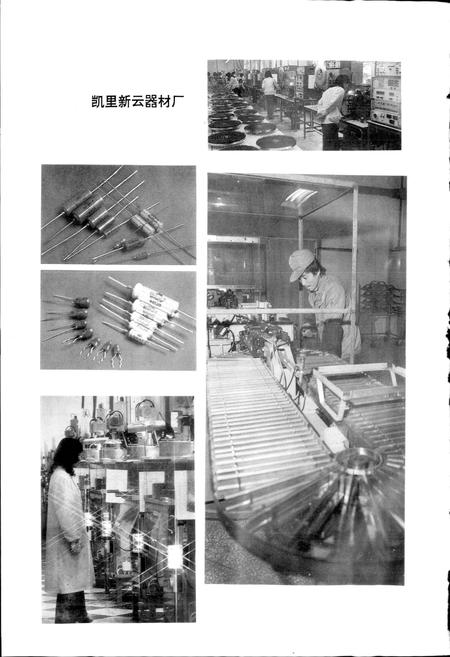 《黔东南苗族侗族自治州志 重工业志 乡镇企业志》.pdf电子版_贵州省志插图4