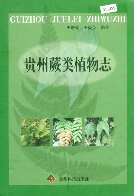 《贵州蕨类植物志》.pdf电子版_贵州省志插图