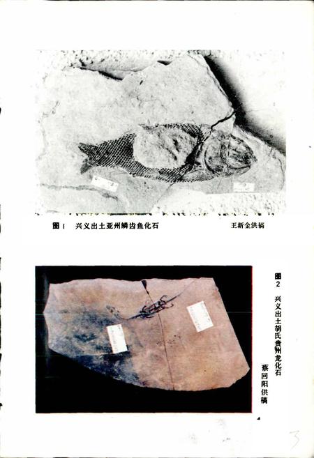 《贵州省博物馆藏品志 一》.pdf电子版_贵州省志插图4