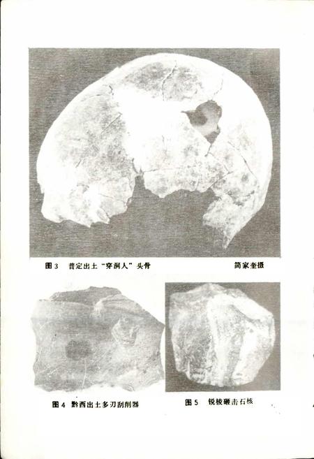 《贵州省博物馆藏品志 一》.pdf电子版_贵州省志插图5