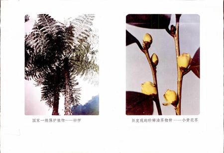 《贵州省赤水县地名志》.pdf电子版_贵州省志插图5
