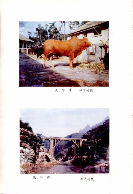 《贵州省关岭布依族苗族自治县地名录》.pdf电子版_贵州省志插图5