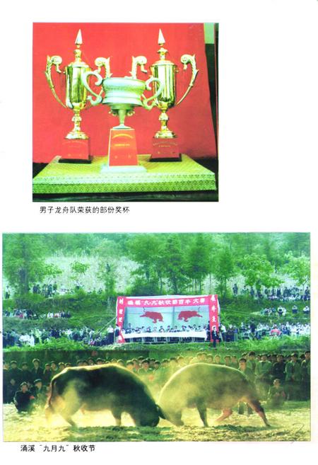 《《镇远县民族志》》.pdf电子版_贵州省志插图4 《《镇远县民族志》》.pdf电子版_贵州省志插图4