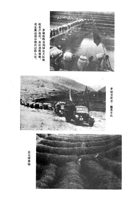 《绥阳县供销合作志》.pdf电子版_贵州省志插图4 《绥阳县供销合作志》.pdf电子版_贵州省志插图4