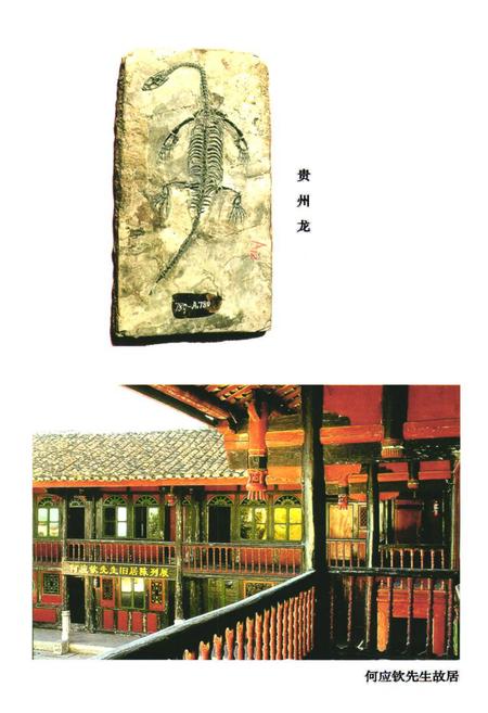 《《兴义文物志》》.pdf电子版_贵州省志插图2