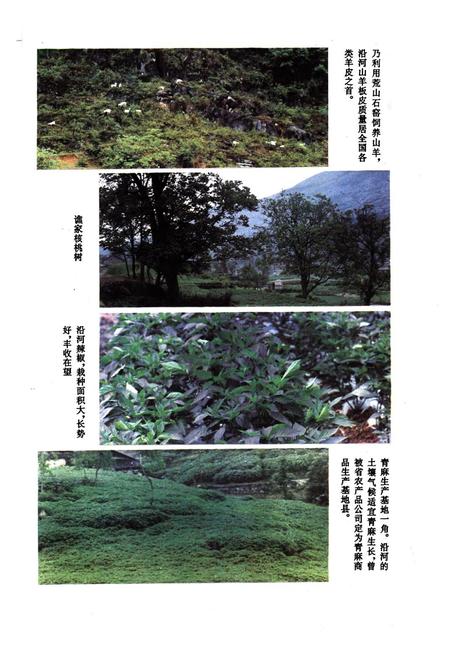 《沿河土家族自治县供销合作社志》.pdf电子版_贵州省志插图4 《沿河土家族自治县供销合作社志》.pdf电子版_贵州省志插图4