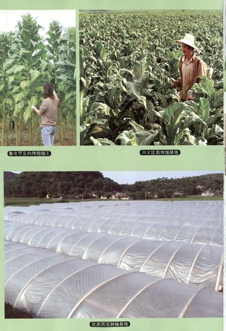 《兴义市志(1978-2006) 下册》.pdf电子版_贵州省志插图3