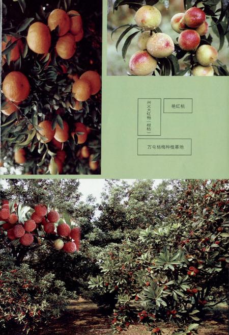 《兴义市志(1978-2006) 下册》.pdf电子版_贵州省志插图4