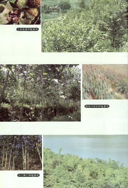 《兴义市志(1978-2006) 下册》.pdf电子版_贵州省志插图5