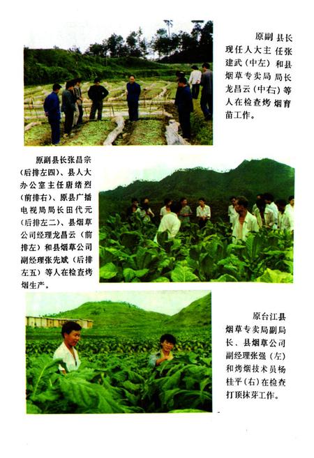 《贵州省台江县烟草志》.pdf电子版_贵州省志插图5