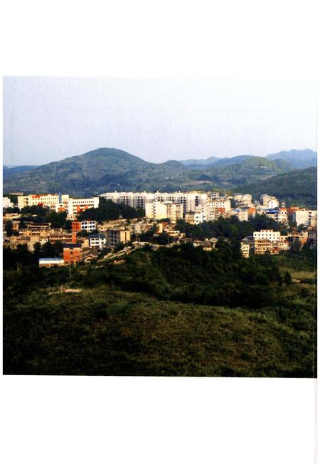 《遵义县龙坪镇志》.pdf电子版_贵州省志插图2