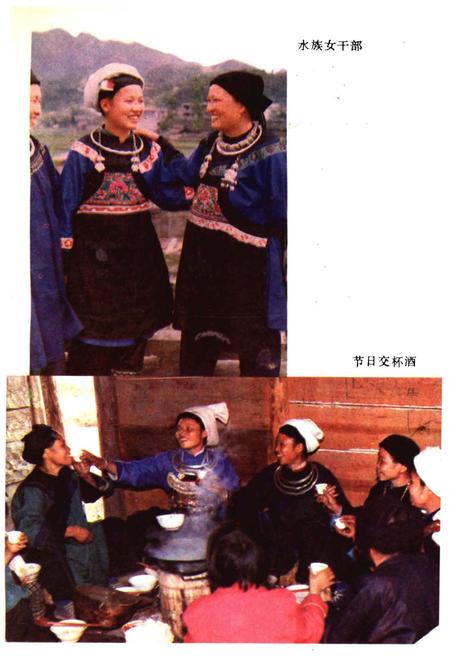 《三都水族自治县概况》.pdf电子版_贵州省志插图5