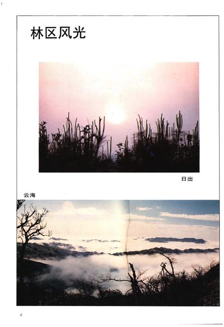 《雷山县林业志》.pdf电子版_贵州省志插图5